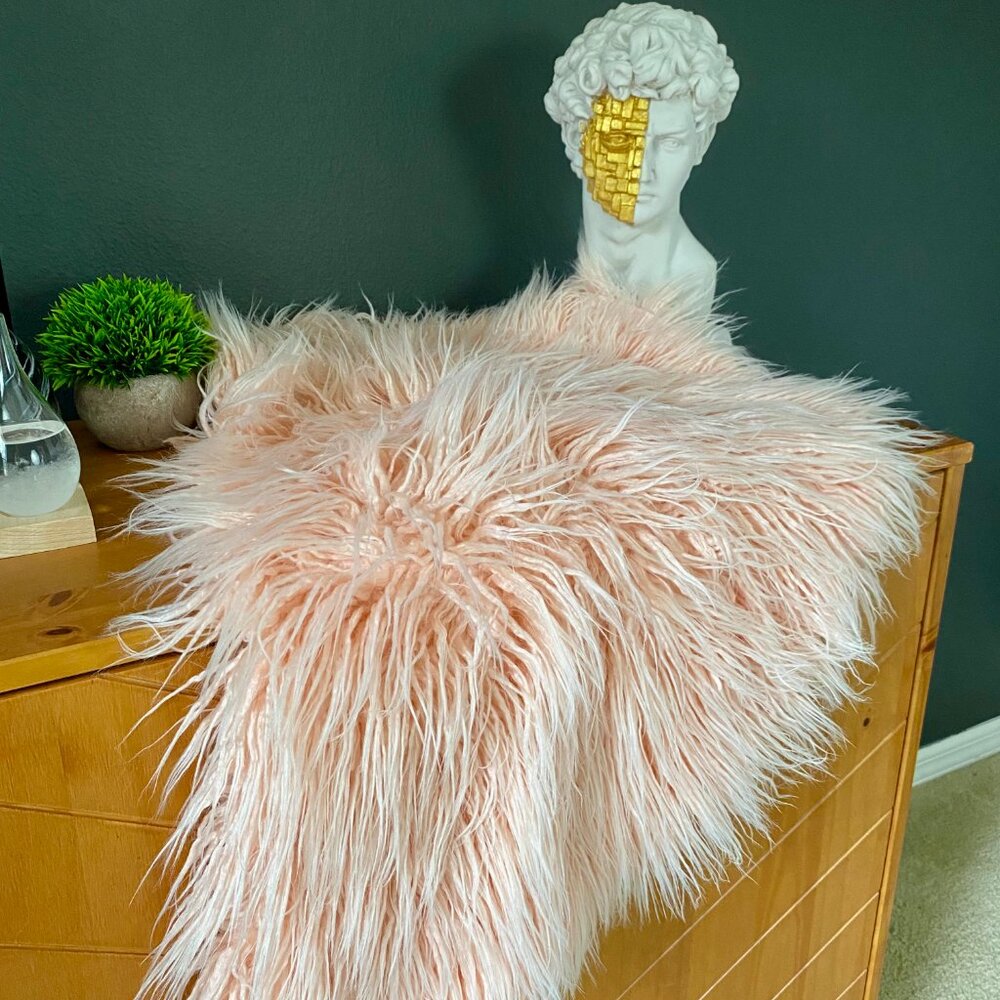Light Pink Shag Area Rug,Soft Plush Accent Rug for Bedroom, Dorm, or Girls Room - Picture 3 of 3